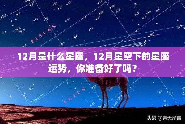 12月星座运势揭秘，星空下的星座运势指南