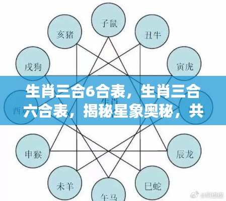 生肖三合六合表揭秘，星象奥秘与运势巅峰共探之路