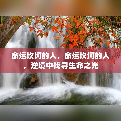 逆境中的生命之光，命运坎坷者的奋斗之路