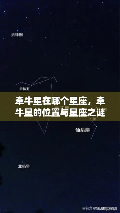 探寻夜空中最亮的指引之星，牵牛星的位置与星座之谜解析