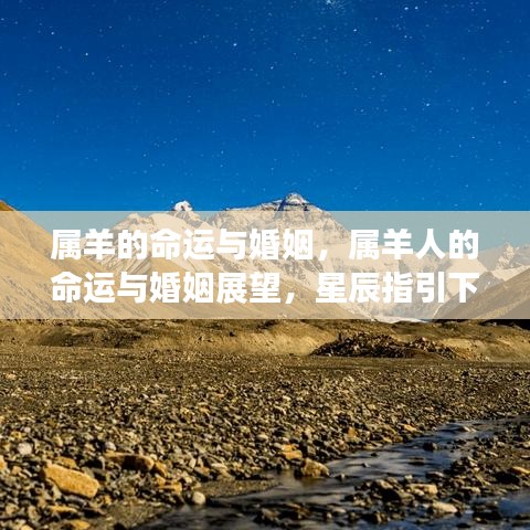 星辰指引下的属羊命运与婚姻展望，幸福之路探寻