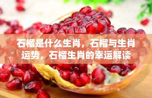 石榴生肖揭秘，运势与幸运解读全解析