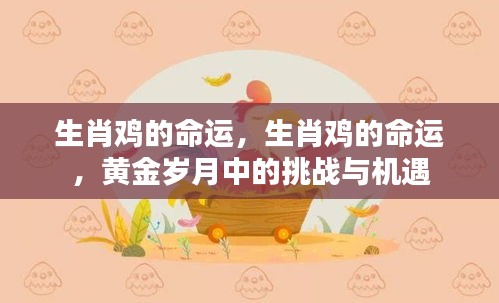 生肖鸡的黄金岁月，挑战与机遇并存命运探索