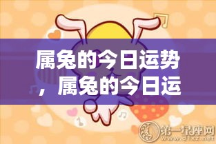 属兔人今日运势详解