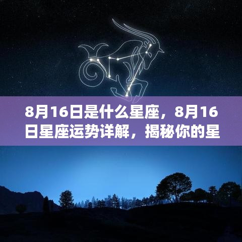 8月16日星座运势揭秘，洞悉性格特性与未来走向的星座运势详解。