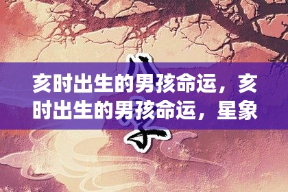 亥时出生男孩的命运解析，星象指引下的未来展望