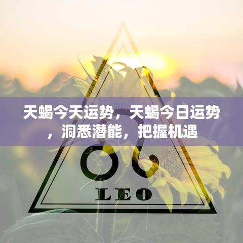 今日天蝎座运势解析，发掘潜能，把握机遇