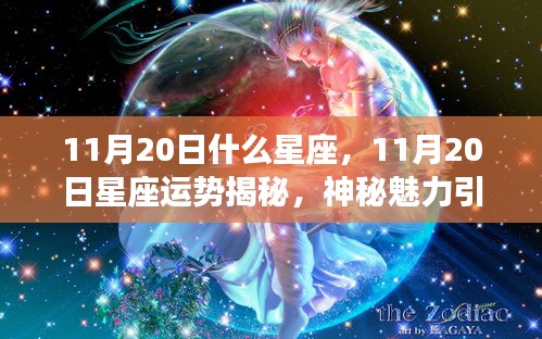 揭秘11月20日星座运势与神秘魅力，探寻星象奥秘之旅