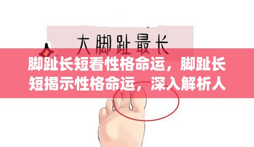 脚趾长短揭示性格命运之谜，探索人与命运的微妙联系之道