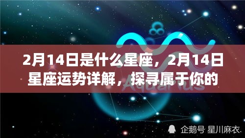 2月14日星座运势揭秘，探寻属于你的星座奥秘