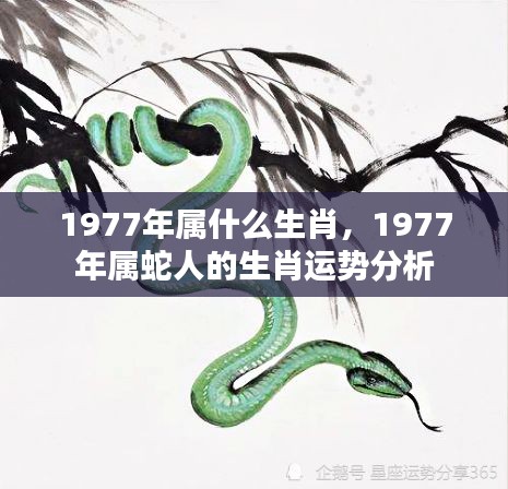 1977年属蛇人的生肖运势详解