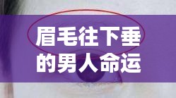 眉毛往下垂的男人的命运解析，面相揭示未来？