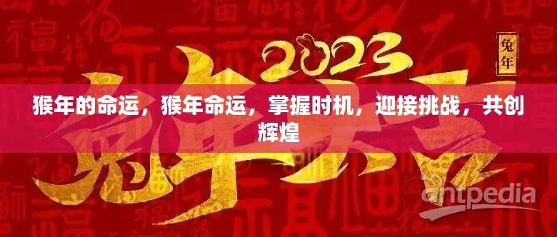 猴年命运展望，把握时机迎接挑战，共创辉煌未来