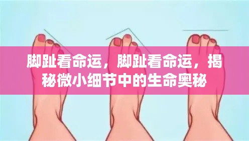 脚趾奥秘揭秘，微小细节揭示命运之门