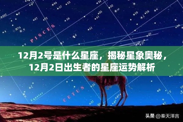 揭秘星象奥秘，12月2日出生者的星座运势解析及星座特点探索