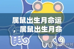 星辰指引下的属鼠命运解析，出生月对命运的影响揭秘