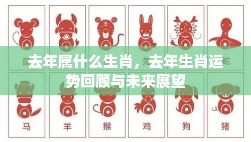 去年生肖运势回顾与未来展望，探寻生肖运势变迁之路