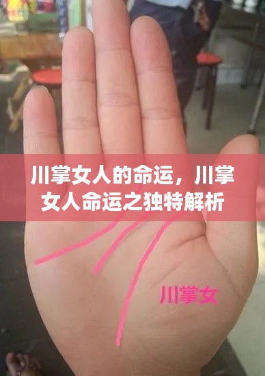 川掌女人的命运解析，独特视角下的女性命运探讨