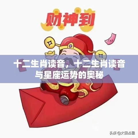 十二生肖读音及其与星座运势的奥秘探索