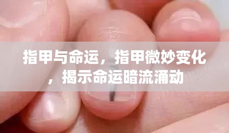 指甲微变揭示命运暗流涌动，命运与指甲的微妙关联