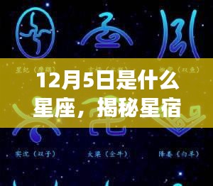 揭秘星宿奥秘，12月5日的星座运势解读与性格特征分析