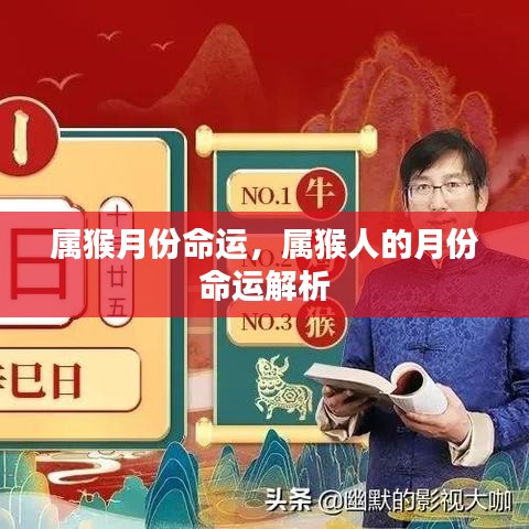 属猴人的月份命运解析，揭示不同月份的命运走向