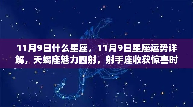 11月9日星座运势揭秘，天蝎魅力四溢，射手收获惊喜时刻