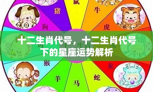 十二生肖代号与星座运势解析，探索生肖与星座的神秘联系