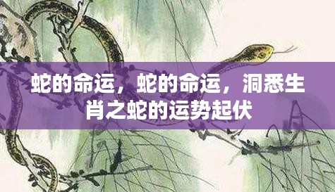 生肖蛇运势大揭秘，洞悉命运起伏，掌握未来走向