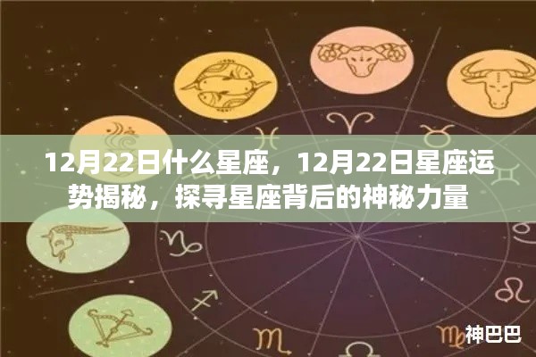 揭秘12月22日星座运势与神秘力量探索