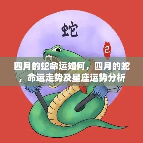 四月的蛇，命运走势与星座运势深度解析