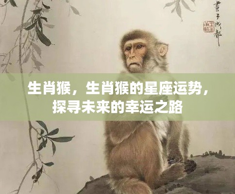 生肖猴星座运势揭秘，探寻未来的幸运之路