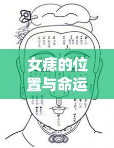 女痣位置与命运解析，揭示痣点与命运图的奥秘关联