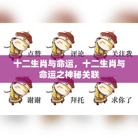 十二生肖与命运之神秘关联探索