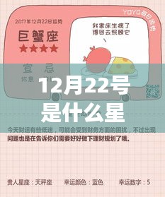 揭秘星座奥秘，12月22日的星座运势与星辰轨迹探寻