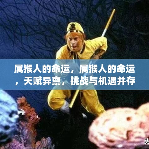 属猴人的命运，天赋与挑战并存，机遇与考验同在的人生旅程