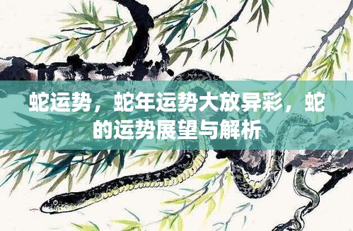 蛇年运势展望，蛇的运势大放异彩与解析