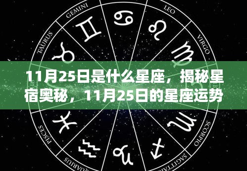 揭秘星宿奥秘，11月25日星座运势解析及星座特点探索