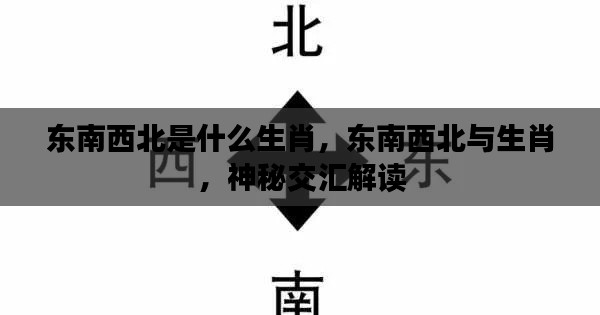 东南西北与生肖的神秘交汇，生肖归属大揭秘