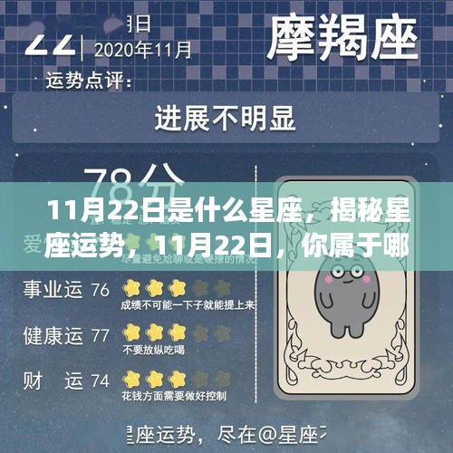 揭秘11月22日星座运势，你属于哪个星座？