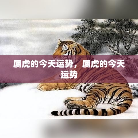 属虎人今日运势运势播报