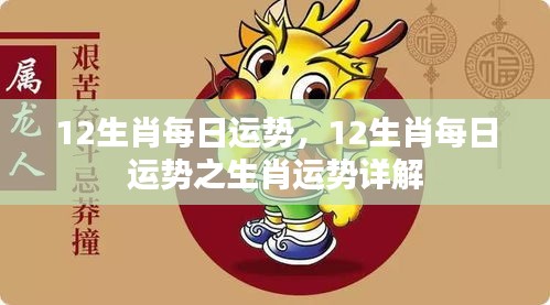 每日生肖运势详解，掌握你的生肖运势走向