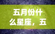 五月份星座运势揭秘，惊喜连连，你的星座运势如何？