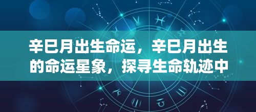 辛巳月出生的命运星象揭秘，探寻生命轨迹中的独特篇章