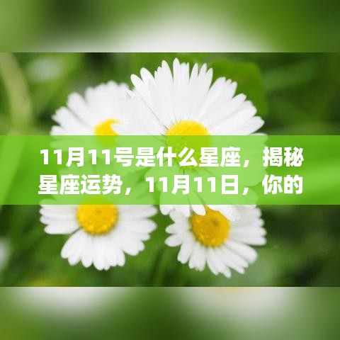 揭秘11月11日星座运势，你的星座运势如何？