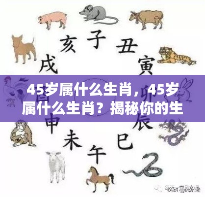 揭秘，45岁属何种生肖？生肖运势与人生轨迹一览无余。