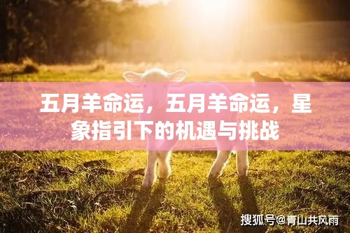 五月羊命运，星象指引下的机遇与挑战揭秘