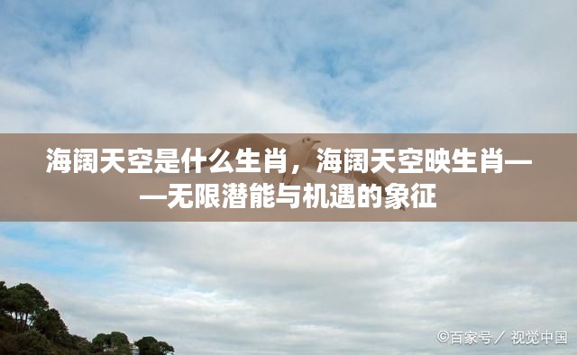 海阔天空与生肖，无限潜能与机遇的象征探索