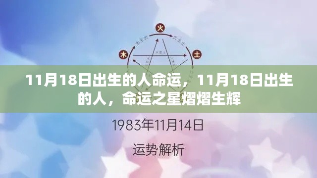 11月18日出生者的命运之星，熠熠生辉的生辰缘分