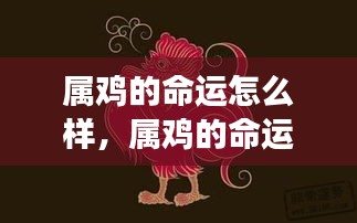 星象指引下的属鸡命运，把握光明前程的秘诀